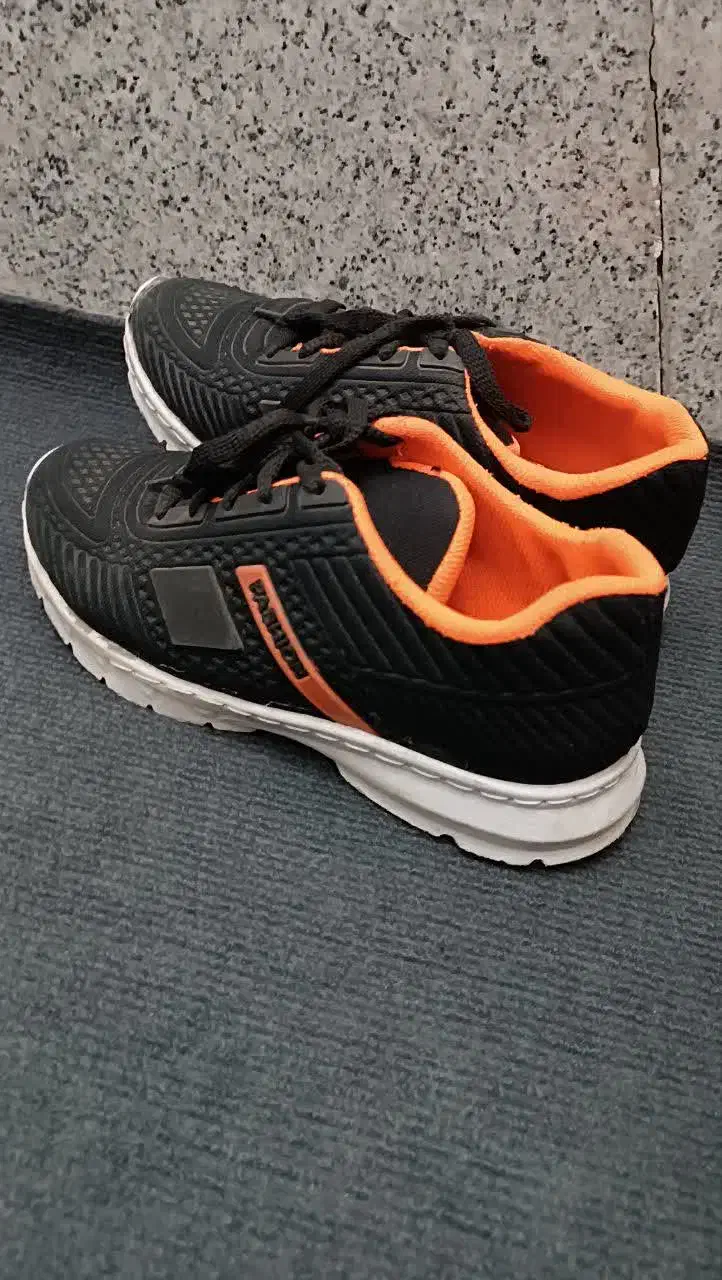 کتونی مردانه و زنانه|کیف، کفش، کمربند|قم, منبع آب|دیوار