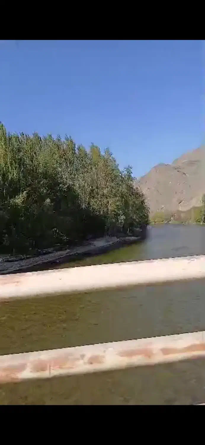 زمین کشاورزی|فروش دفتر صنعتی، کشاورزی، تجاری|شیدا, |دیوار