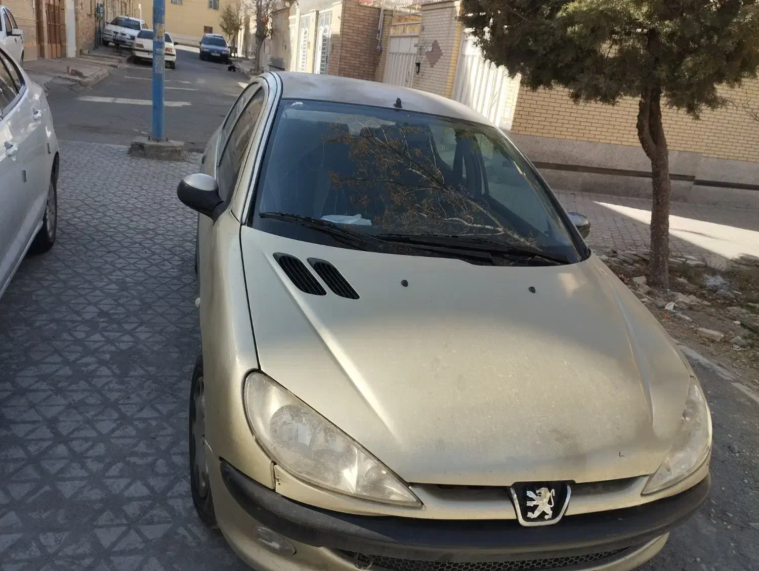 ۲۰۶ مدل ۸۳|خودرو سواری و وانت|فولادشهر, C5|دیوار