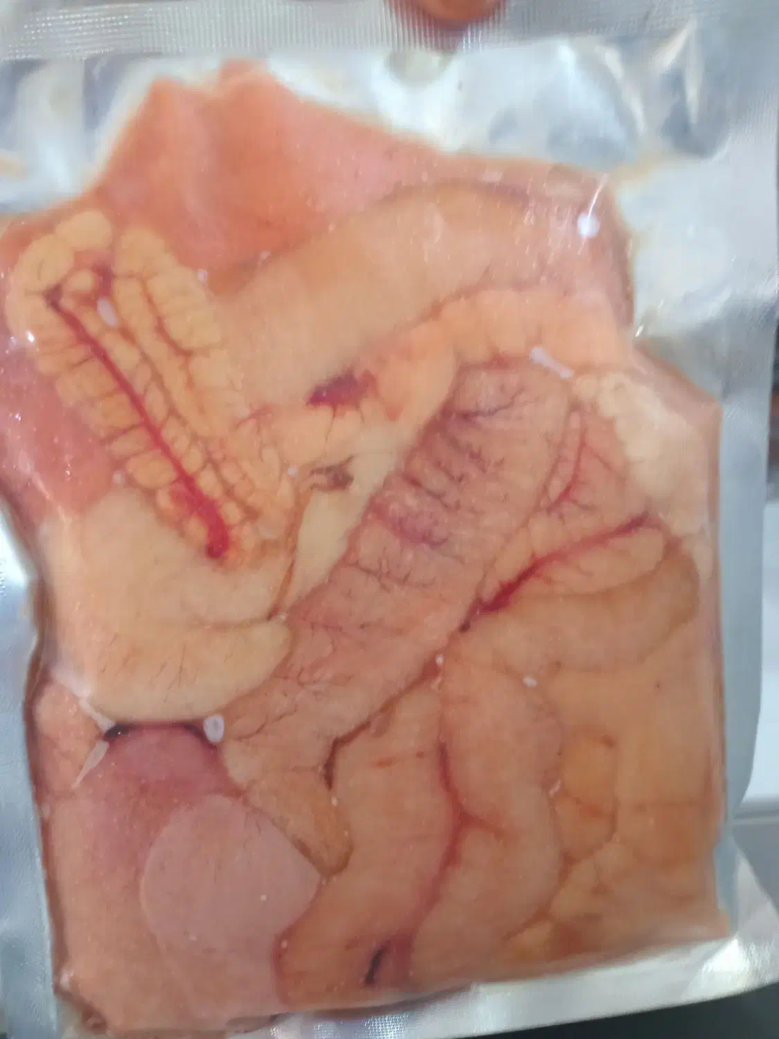 تخم ماهی|ماهی|قشم, |دیوار