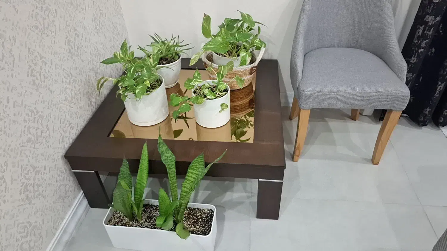 میز جلومبلی|مبلمان خانگی و میز عسلی|اهواز, کیان اباد|دیوار