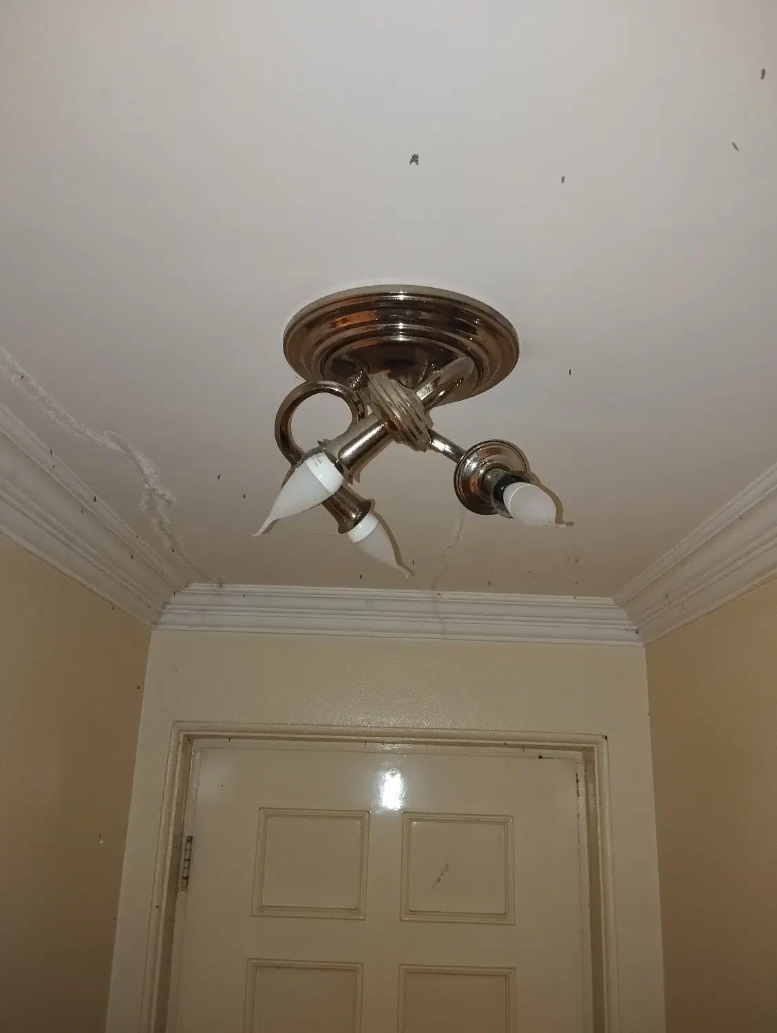 ۲ عددلوستر ۱۶ شاخه ای و یک عدد ۱۲ شاخه و۸دیوارکوب|لوستر و چراغ آویز|بابل, |دیوار