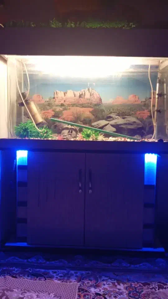 آکواریوم با همه وسایل|ماهی|ورامین, خیر آباد|دیوار