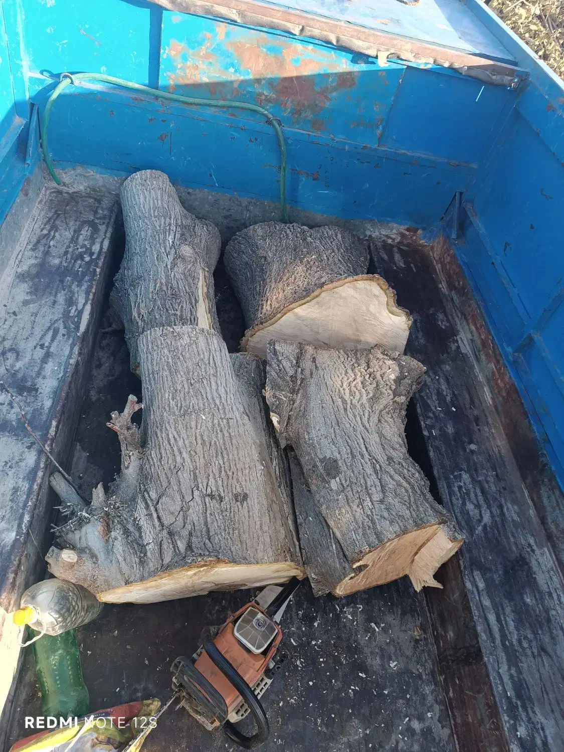 چوب درختان|گل و گیاه طبیعی|بروجرد, |دیوار