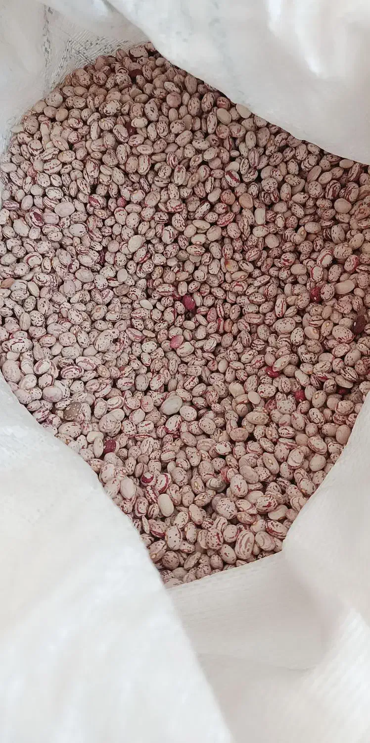 لوبیاچیتی|خوردنی و آشامیدنی|خرامه, |دیوار