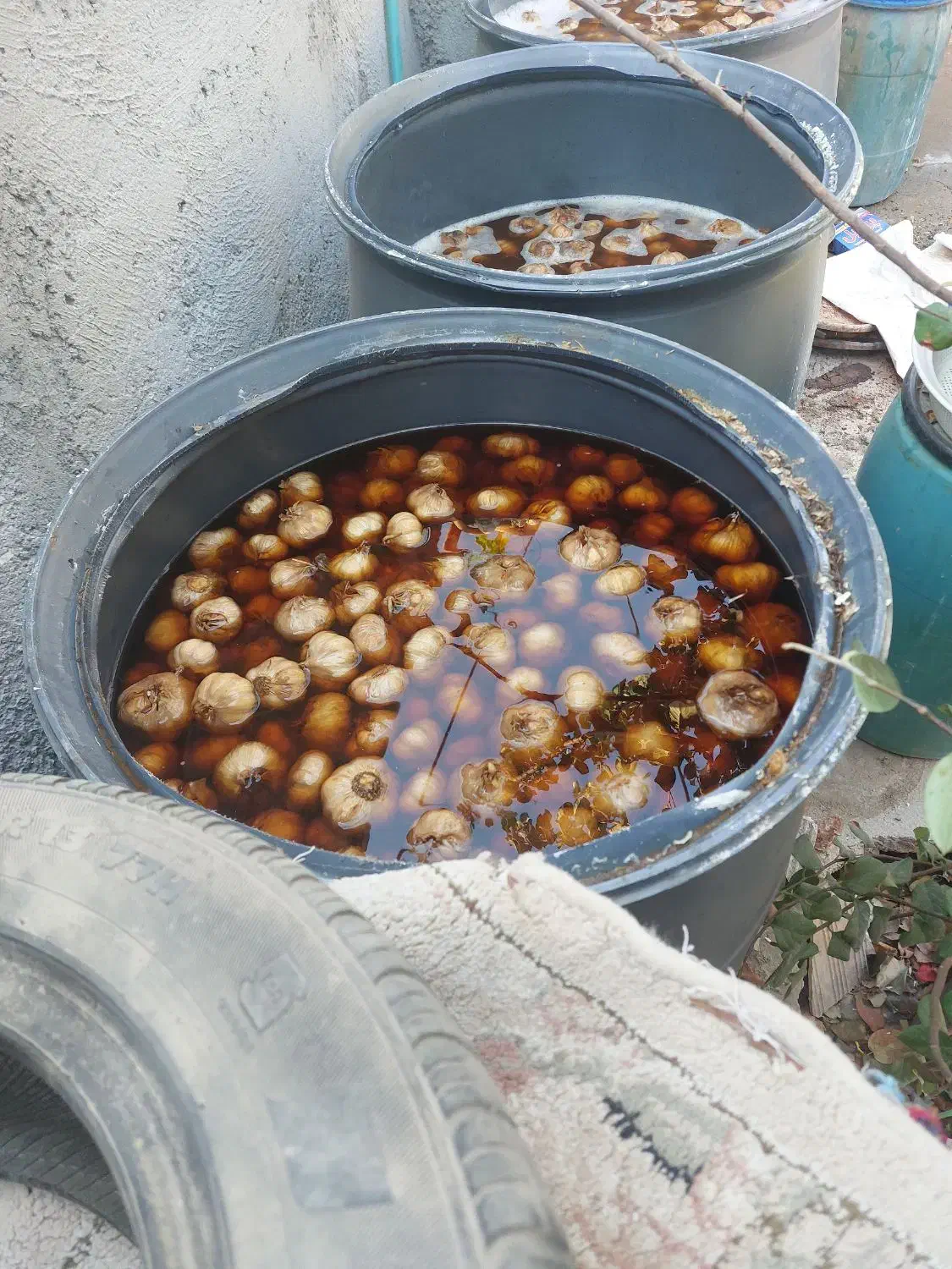 سیر ترشی حدودن 600 کیلو|عمده‌فروشی|طارم, |دیوار