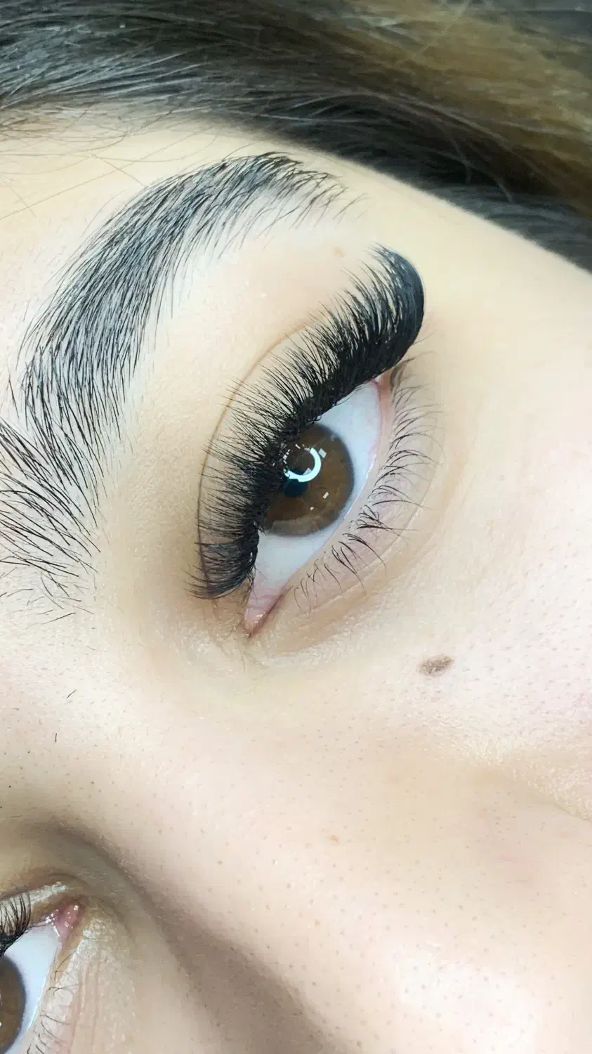 اموزش اکستنشن مژه ،لیفت لمینت همراه مدرک|خدمات آموزشی|شیراز, طلاب|دیوار