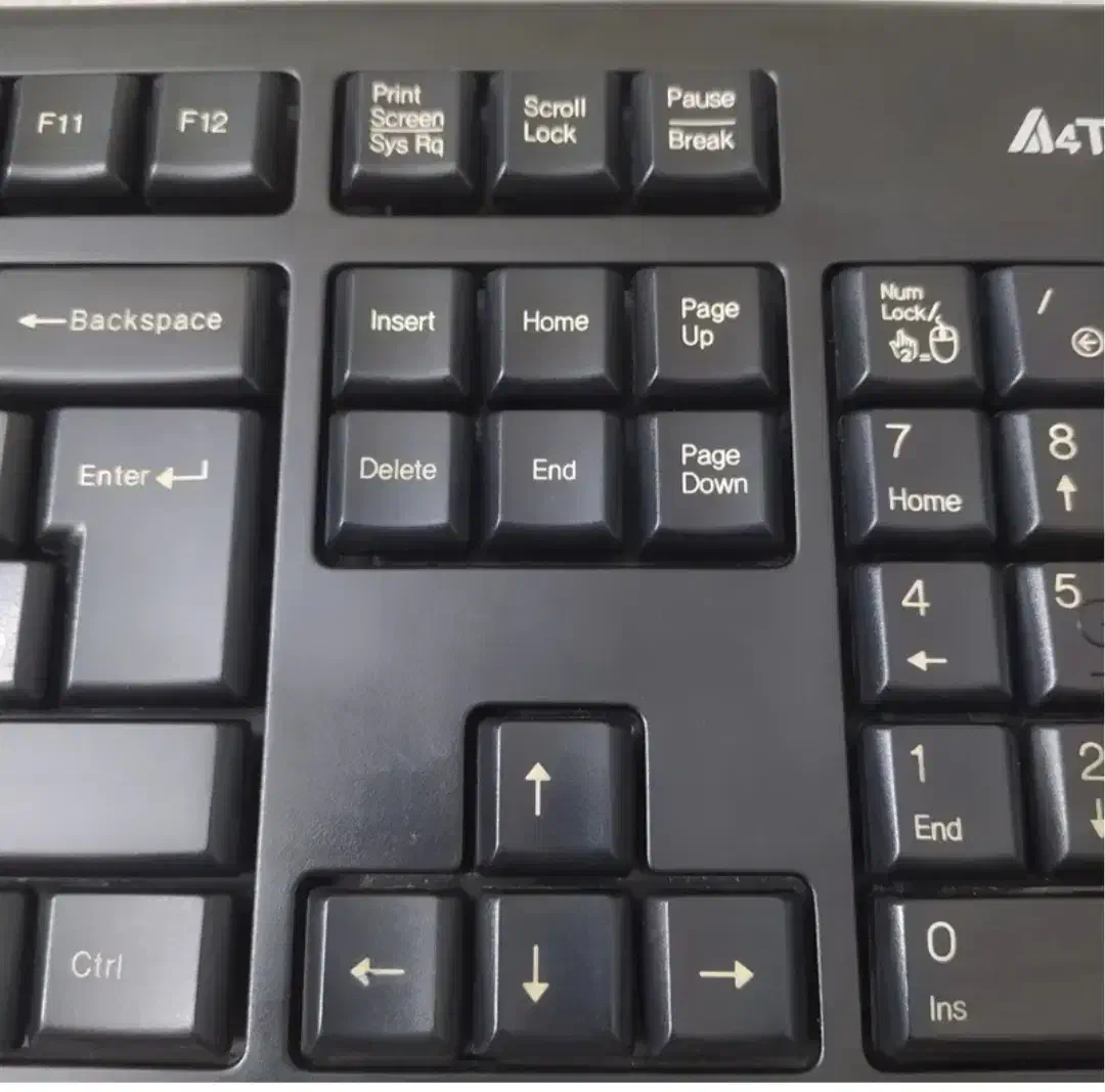 کیبورد و موس بی سیم ایفورتک|قطعات و لوازم جانبی رایانه|پرند, فاز ۲|دیوار