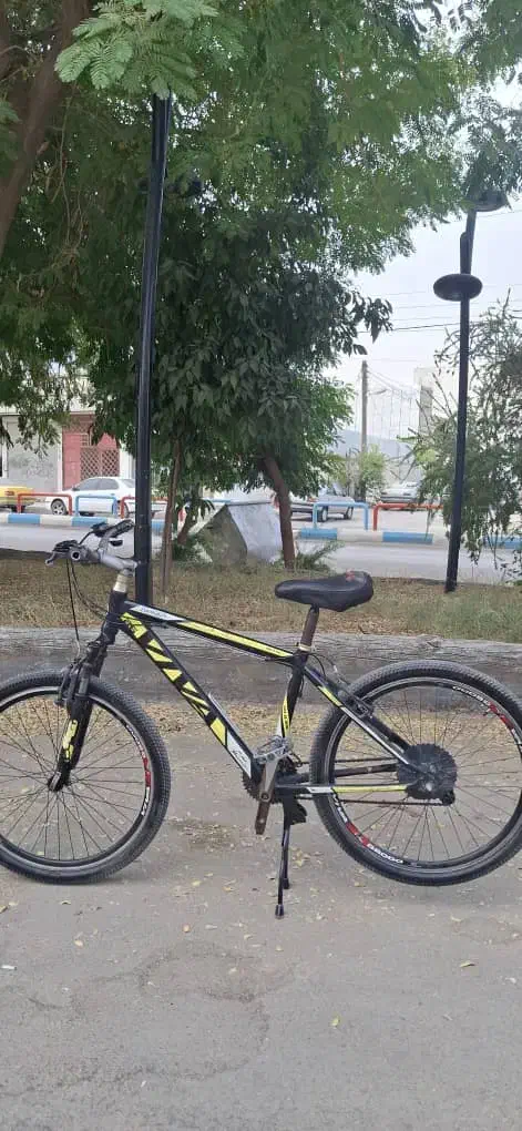 دوچرخه ویوا اکسیژن اصلی ۲۶ تنه بلند|دوچرخه، اسکیت، اسکوتر|ایذه, |دیوار