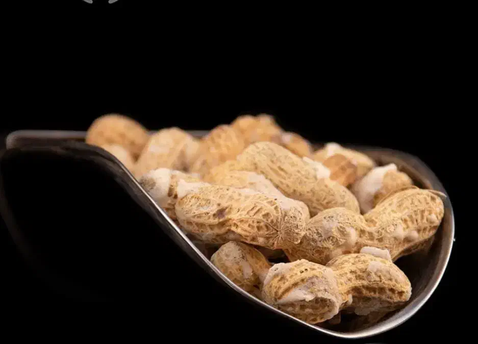 خروس|حیوانات مزرعه|قروه, |دیوار