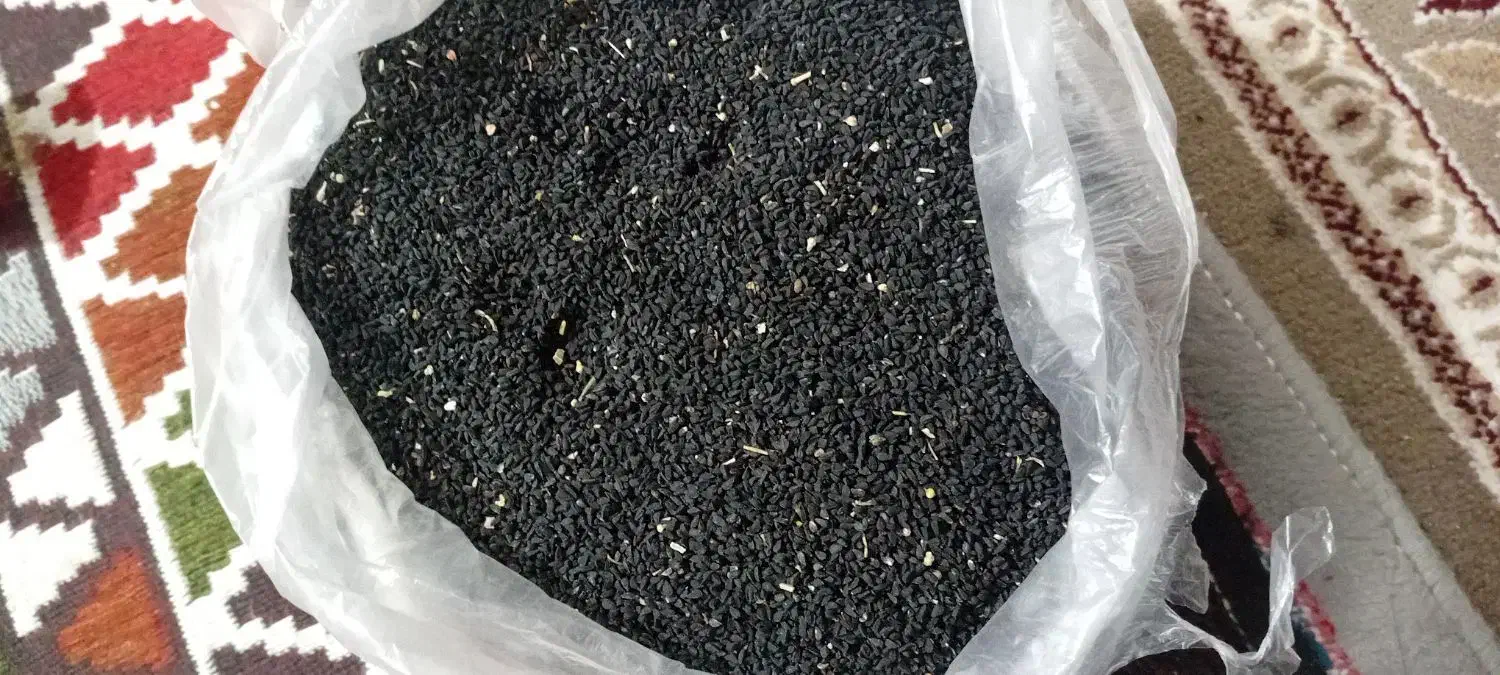 سیاه دونه|عمدهفروشی|سپیدار, |دیوار