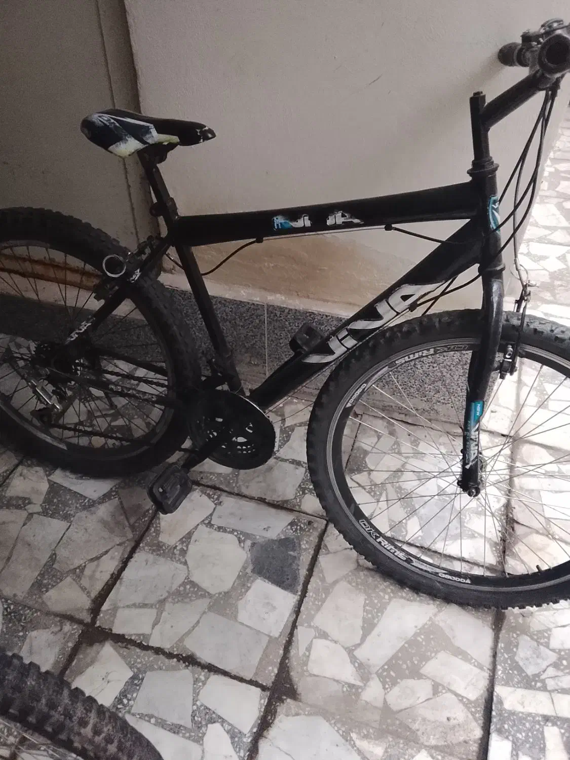 دوچرخه|دوچرخه، اسکیت، اسکوتر|صومعهسرا, |دیوار