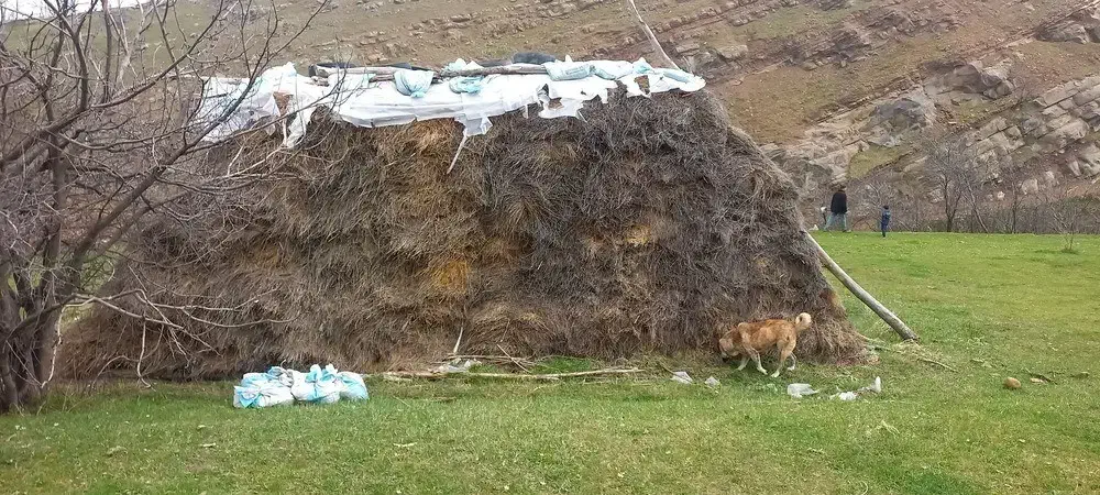 علوفه فروشی|عمده‌فروشی|اردبیل, |دیوار