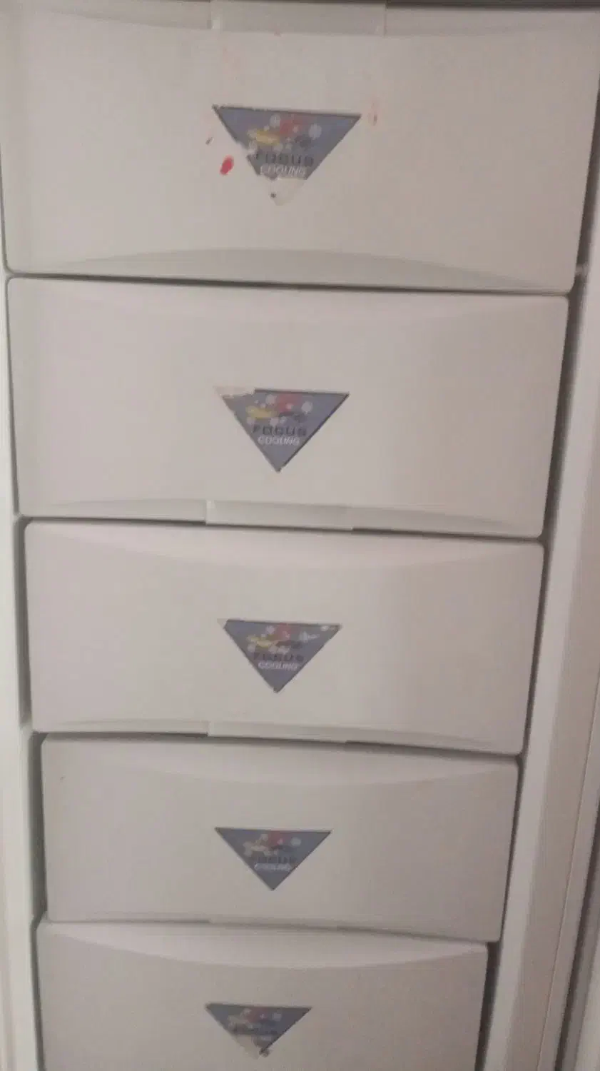 یخچال الکترو استیل دوقلو سالم سالم|یخچال و فریزر|درمیان, |دیوار