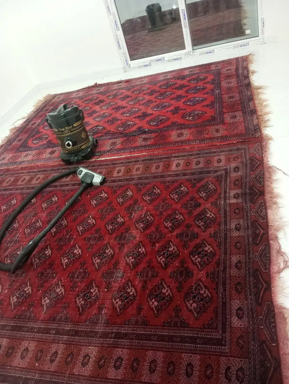 فرش|فرش|کلاله, |دیوار