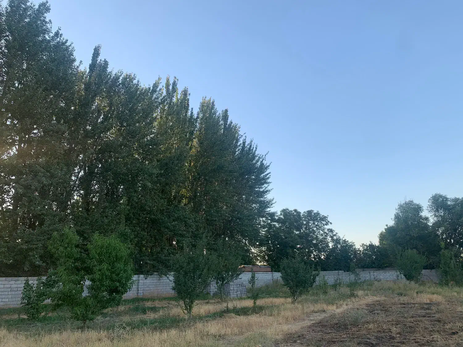 باغ بالاتر از خاوران نرسیده به باسمنج(قابل معاوضه)|فروش دفتر صنعتی، کشاورزی، تجاری|تبریز, |دیوار