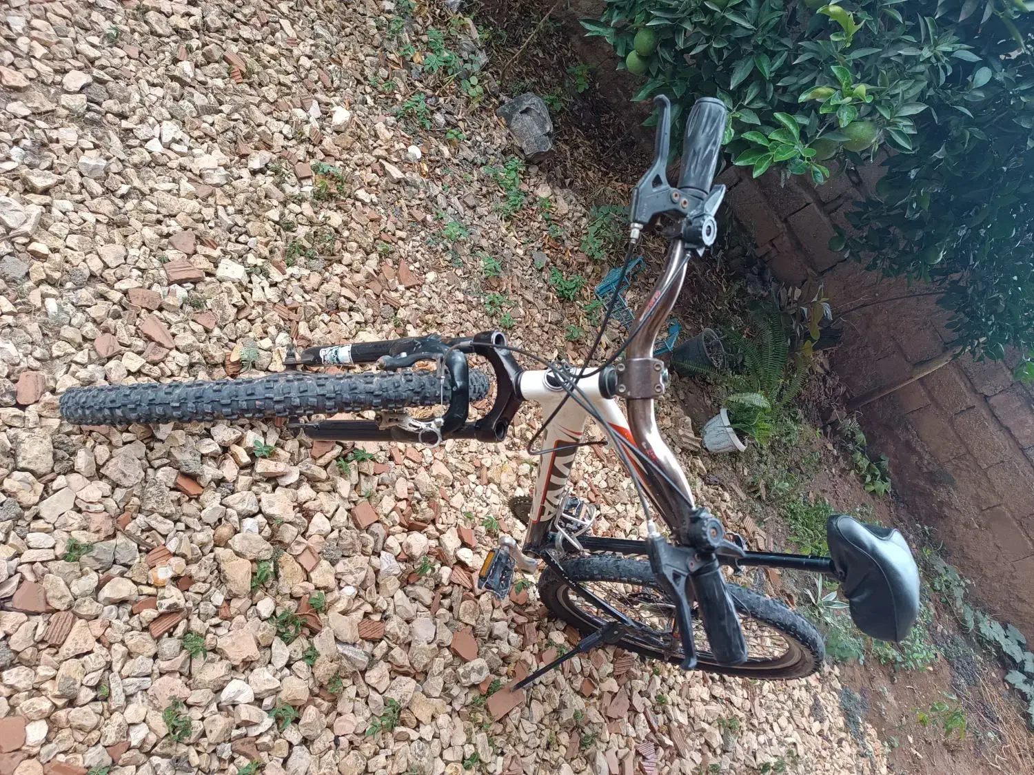 دوچرخه ویوا|دوچرخه، اسکیت، اسکوتر|نکا, |دیوار