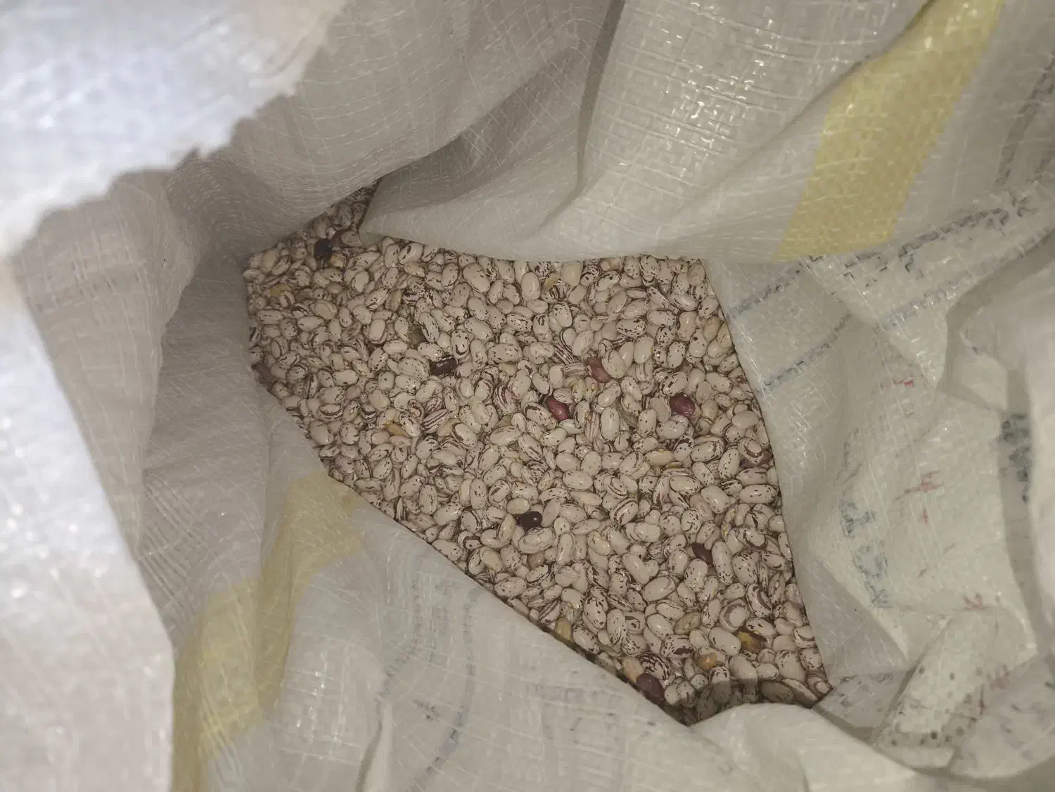 لوبیا چیتی یا ماش درجه 1 تازه مال امسال|خوردنی و آشامیدنی|صومای برادوست, |دیوار