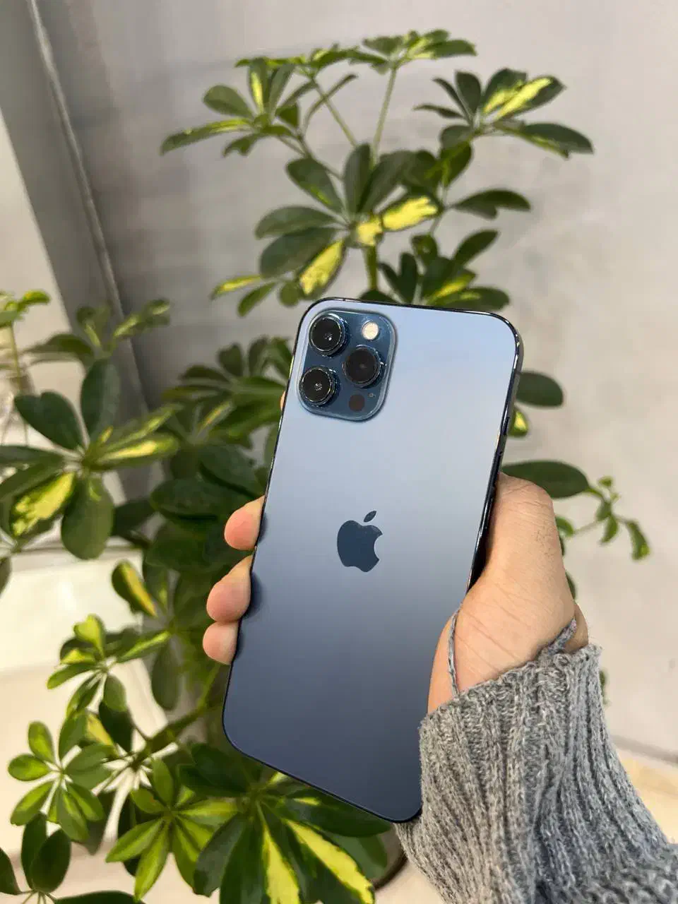 آیفون Apple 12 pro max با حافظه ۲۵۶ گیگابایت|موبایل|مشهد, عامل|دیوار