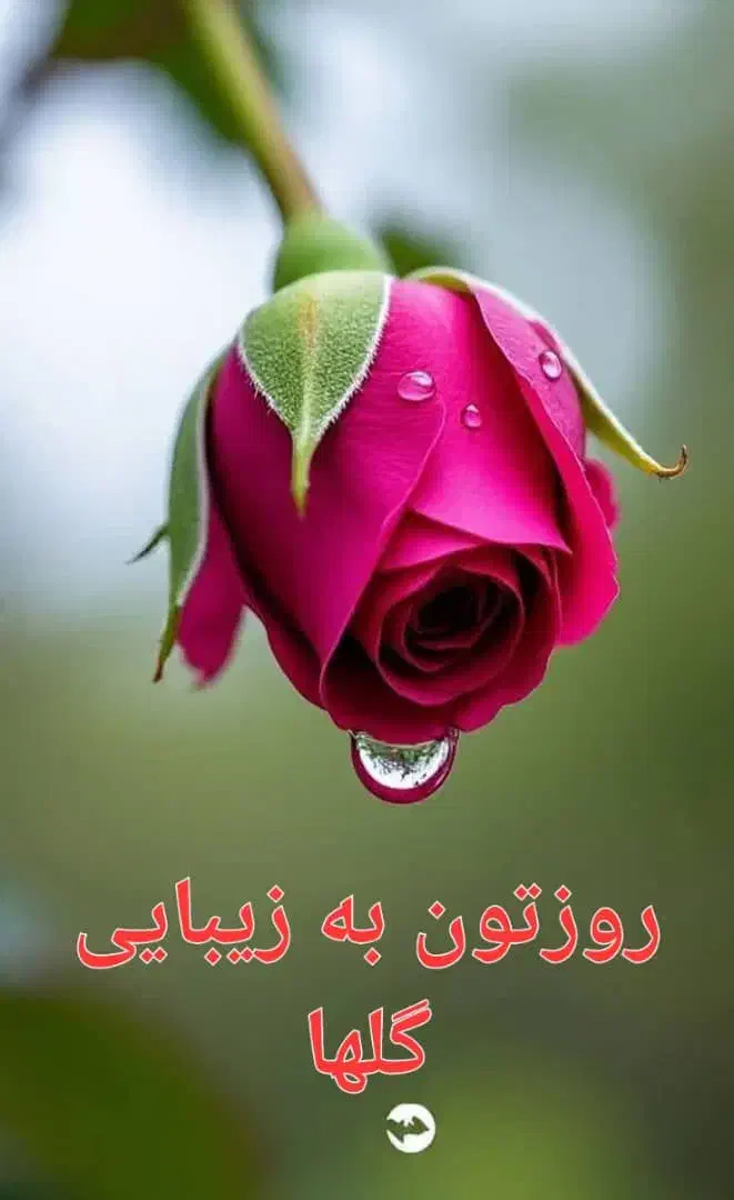 سیمکارت همراه اول|سیم‌کارت|تهران, شیخ هادی|دیوار