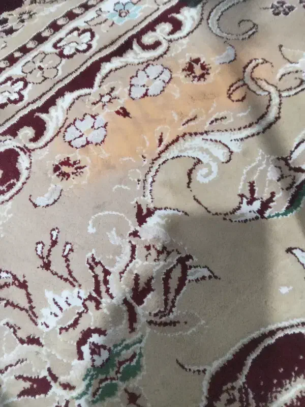 فرش ۱۲متری|فرش|کرمانشاه, |دیوار