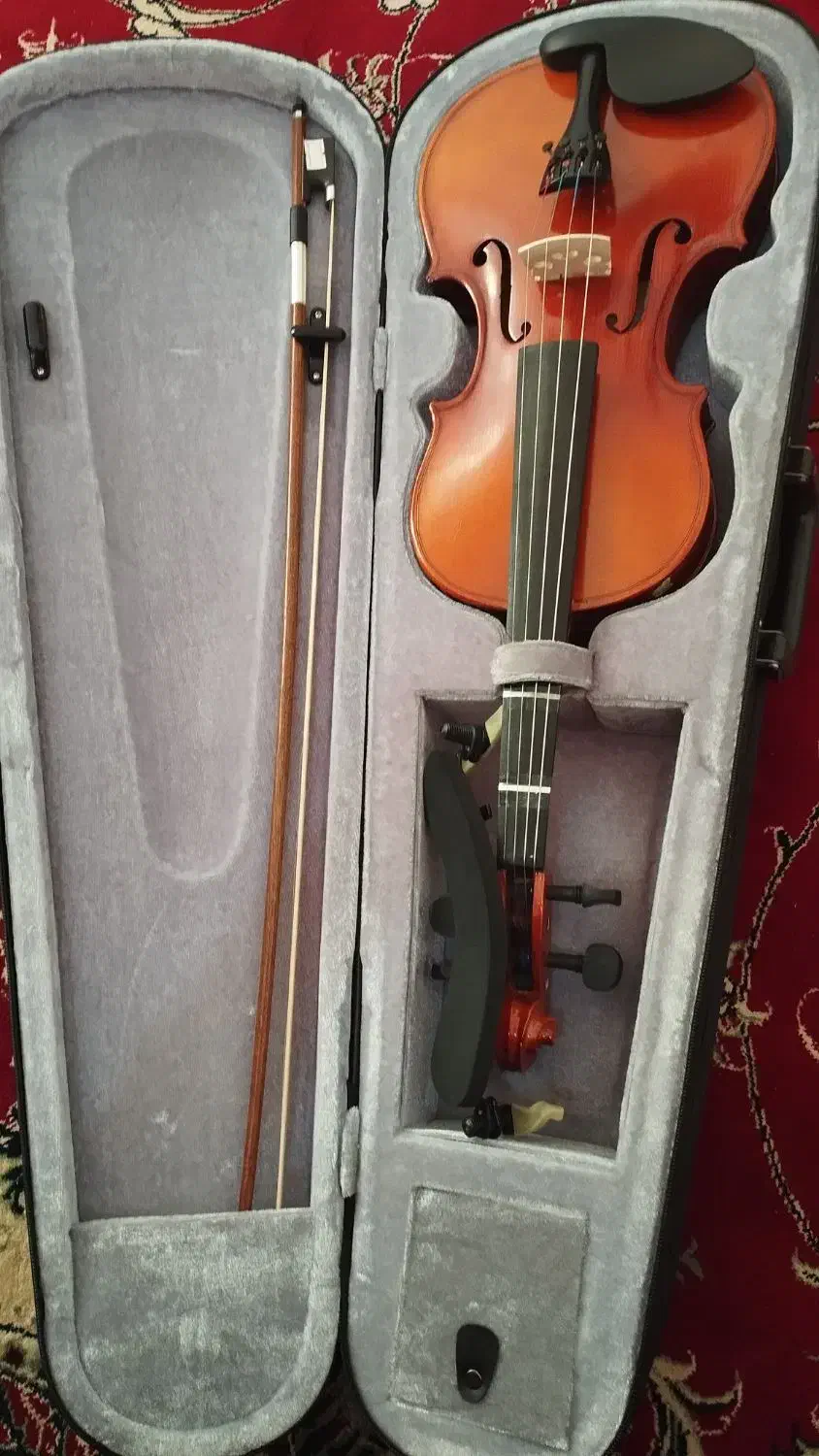 ویالن|ویولن|شیراز, کودیان|دیوار