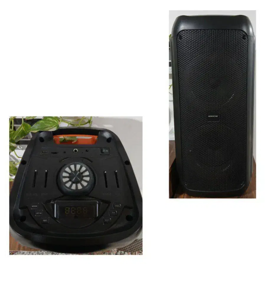 اسپیکر کینگ استار|سیستم صوتی خانگی|منجیل, |دیوار