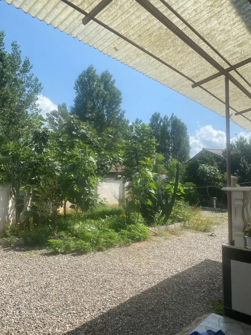 زمین باغی۹۷۴متر چسب مسکونی فرصت عالی  دیزبن معاوضه|فروش زمین و ملک کلنگی|لاهیجان, لیالستان|دیوار