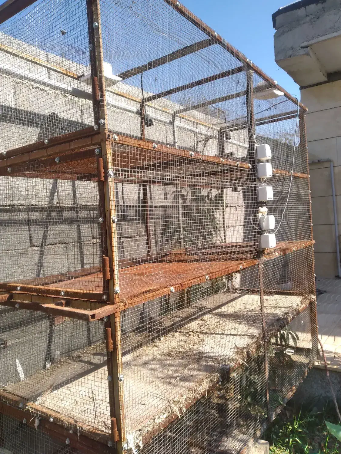 یک عدد قفس آهنی|لوازم جانبی حیوانات|شبستر, |دیوار