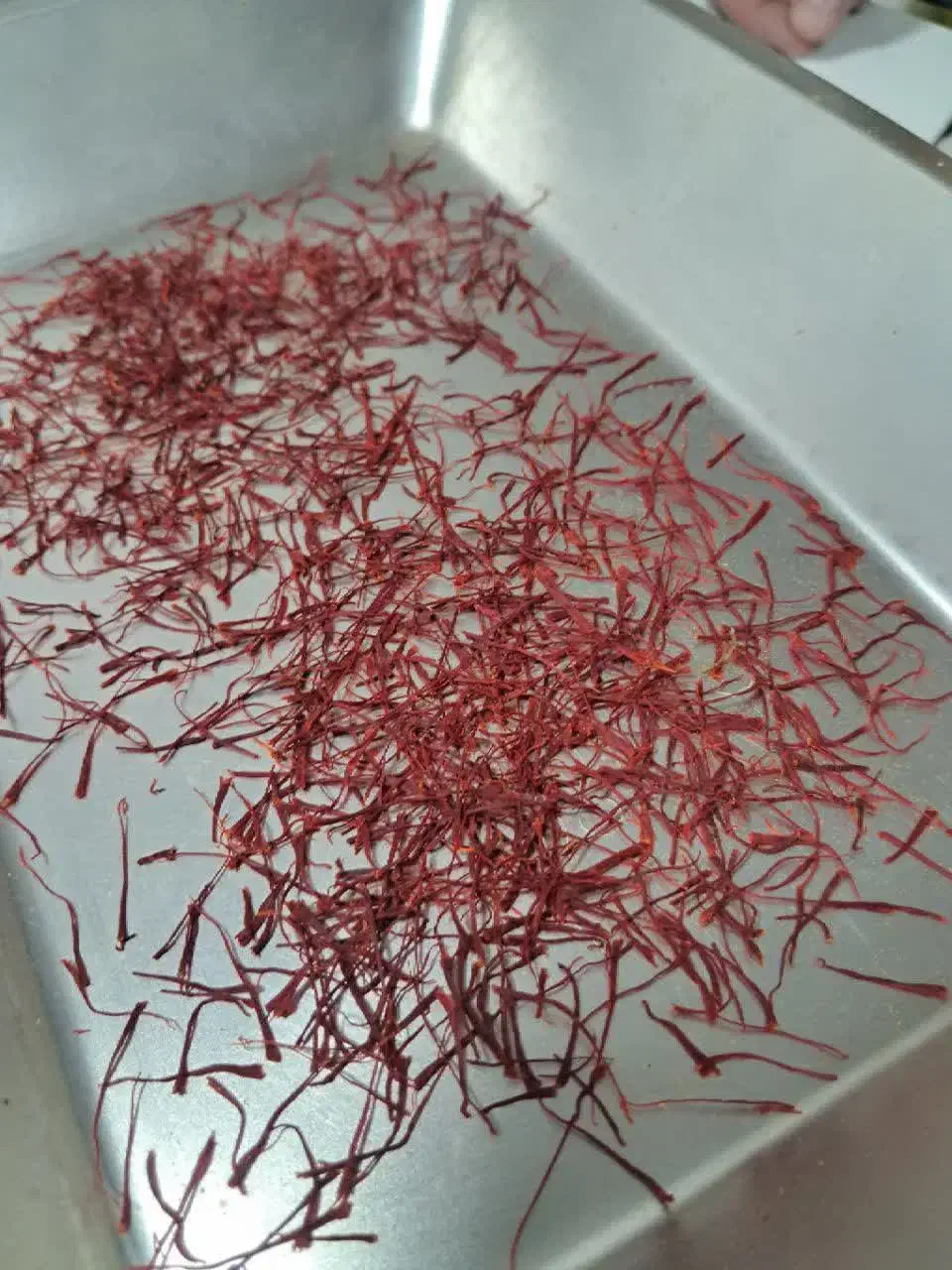 زعفران نگین سنتی قائنات۶۴۰ کیفیت درجه یک|خوردنی و آشامیدنی|قم, کلهری|دیوار
