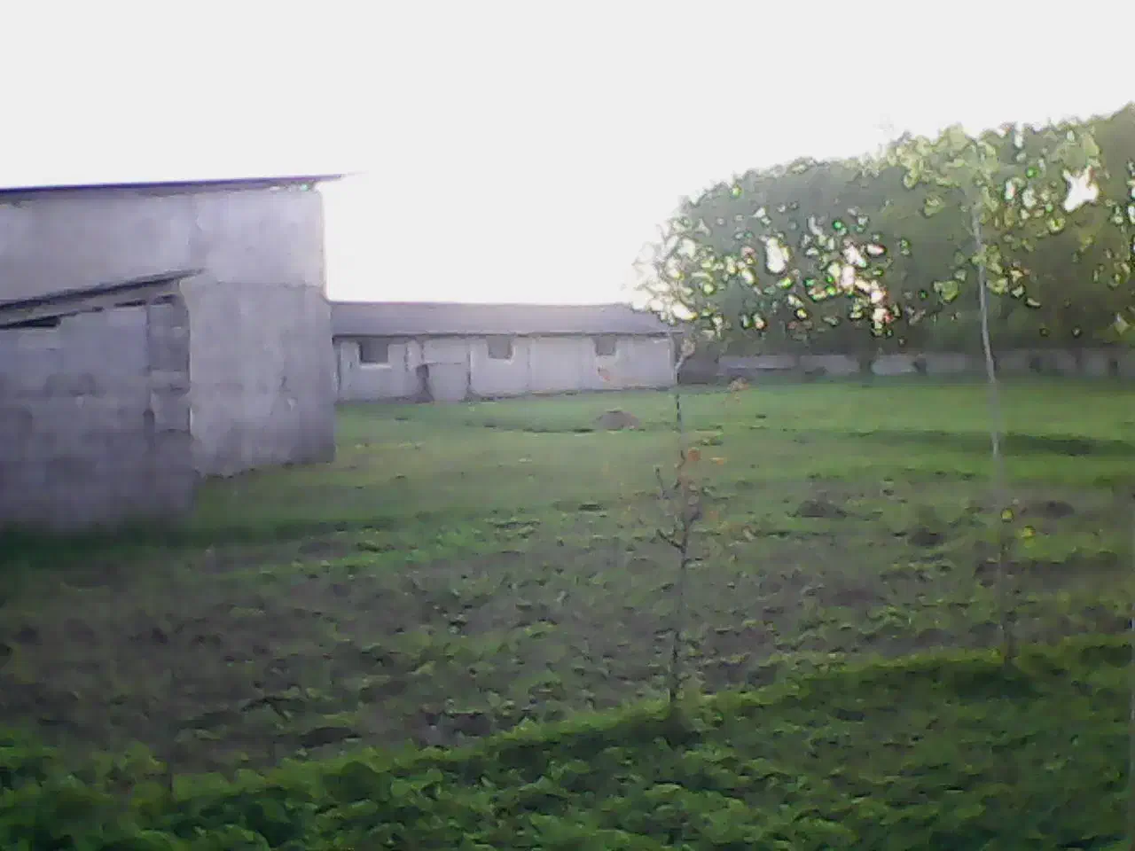 گاوداری 100 راسی(پرواری) خمام-شیجان|فروش دفتر صنعتی، کشاورزی، تجاری|خمام, |دیوار