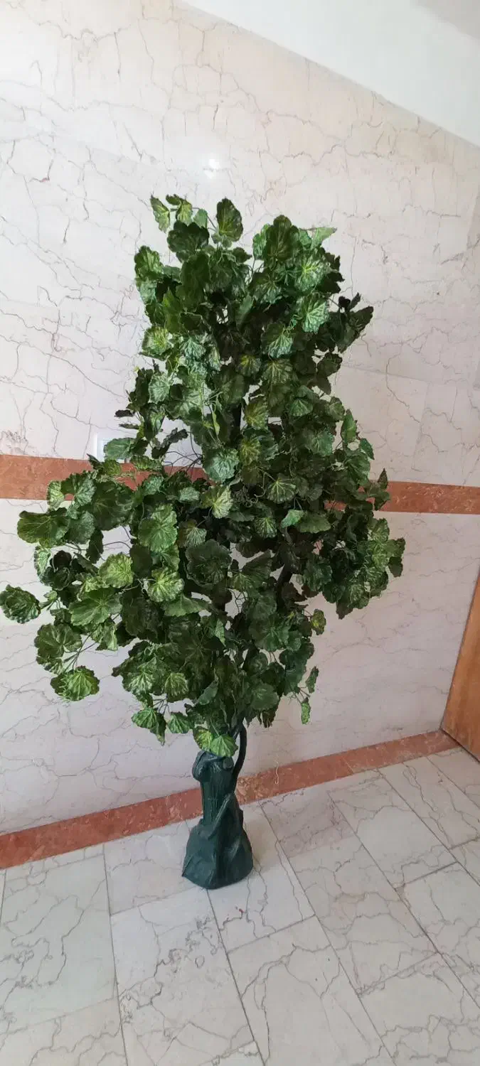 درختچه سالم|گل مصنوعی|میانه, |دیوار