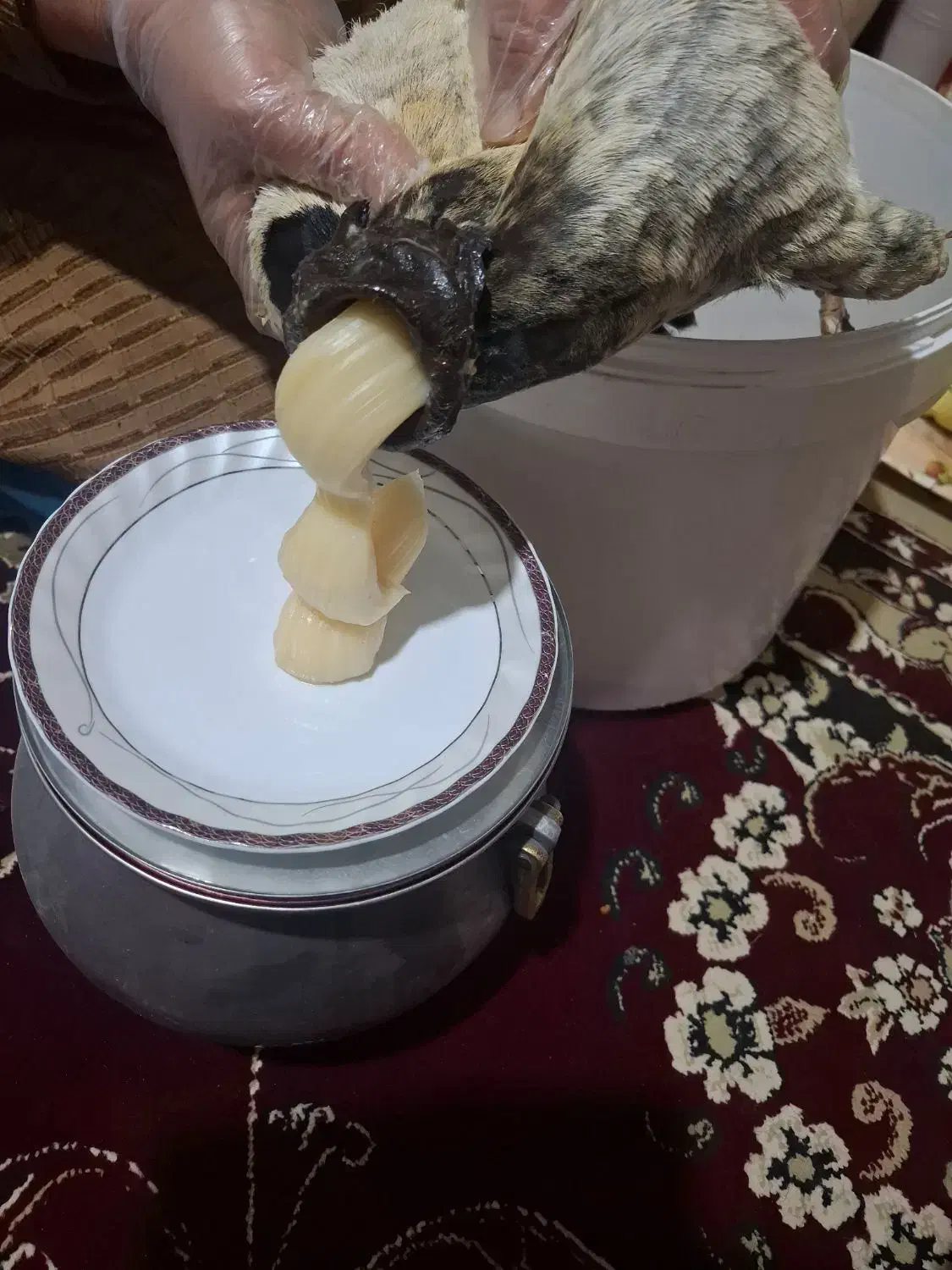 غذایی|خوردنی و آشامیدنی|کوهدشت, |دیوار