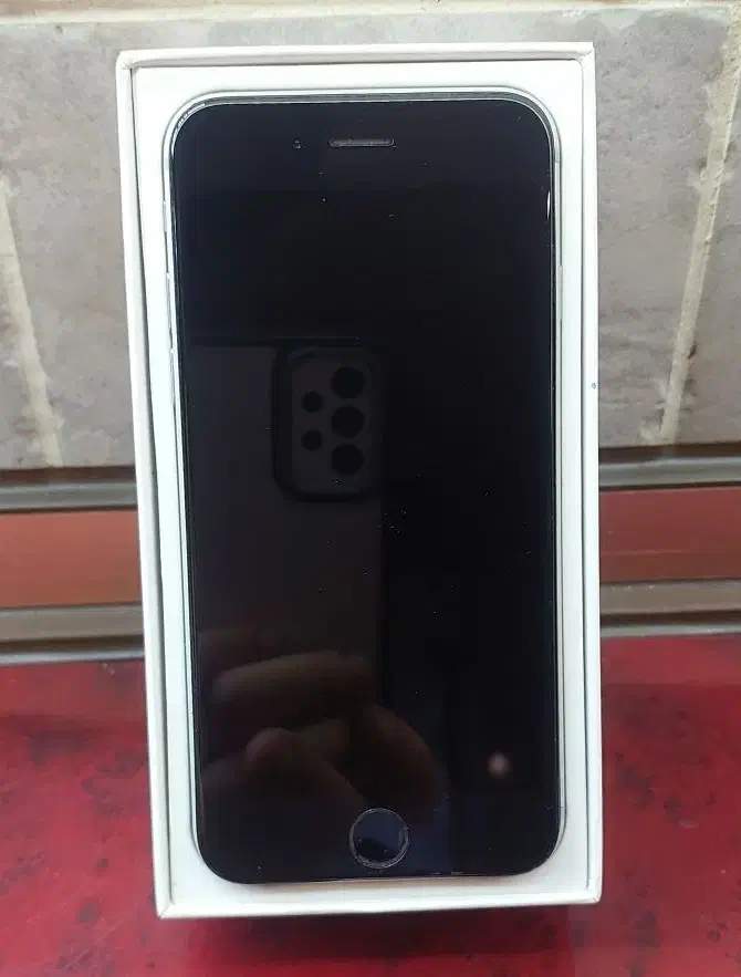 Iphone 6s|موبایل|رشت, کاکتوس|دیوار