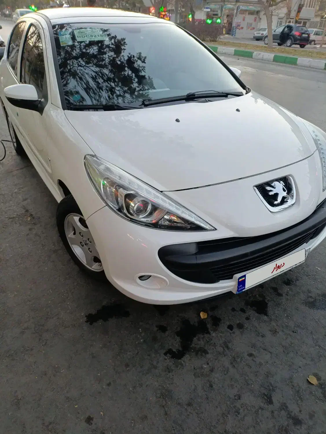 207 پاناروما۲۶تا کار،مدل ۱۴۰۳|خودرو سواری و وانت|مشهد, هفده شهریور|دیوار