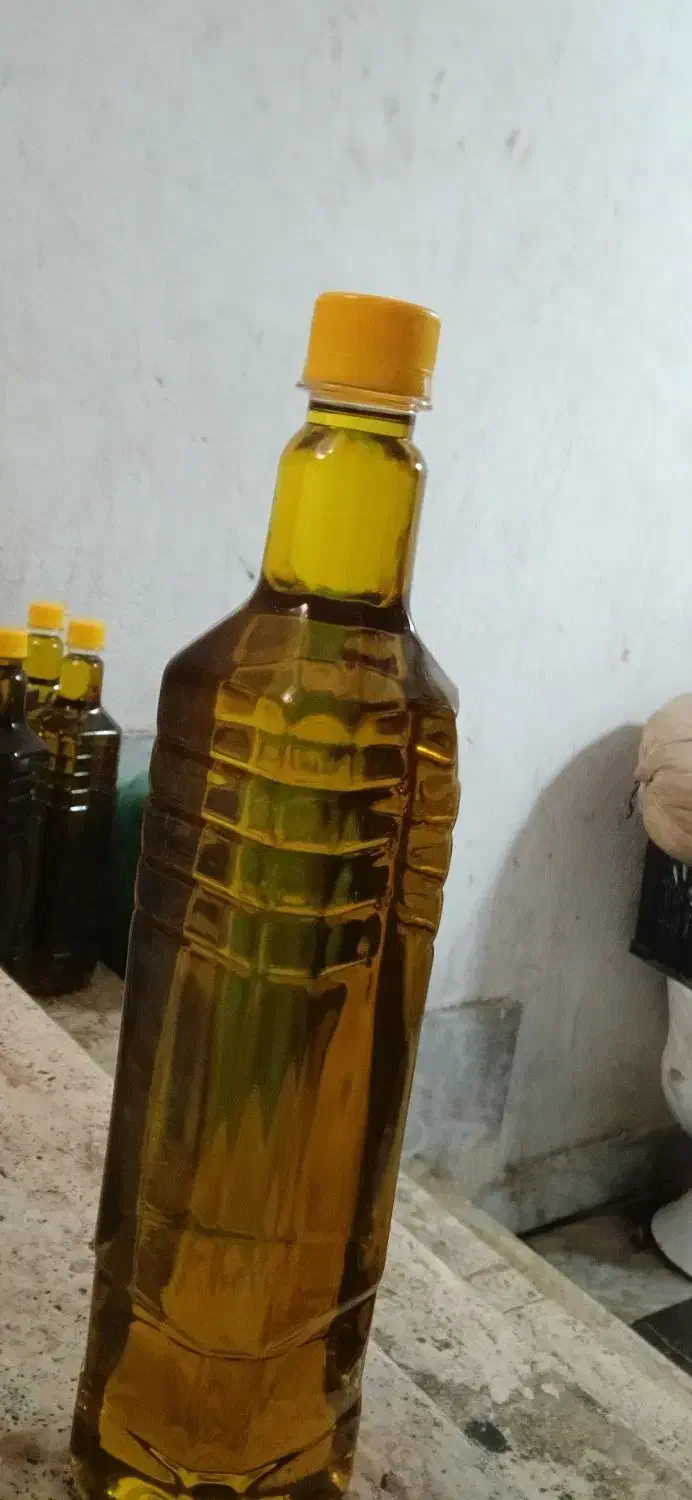 روغن زیتون خالص|حراج|کردکوی, |دیوار