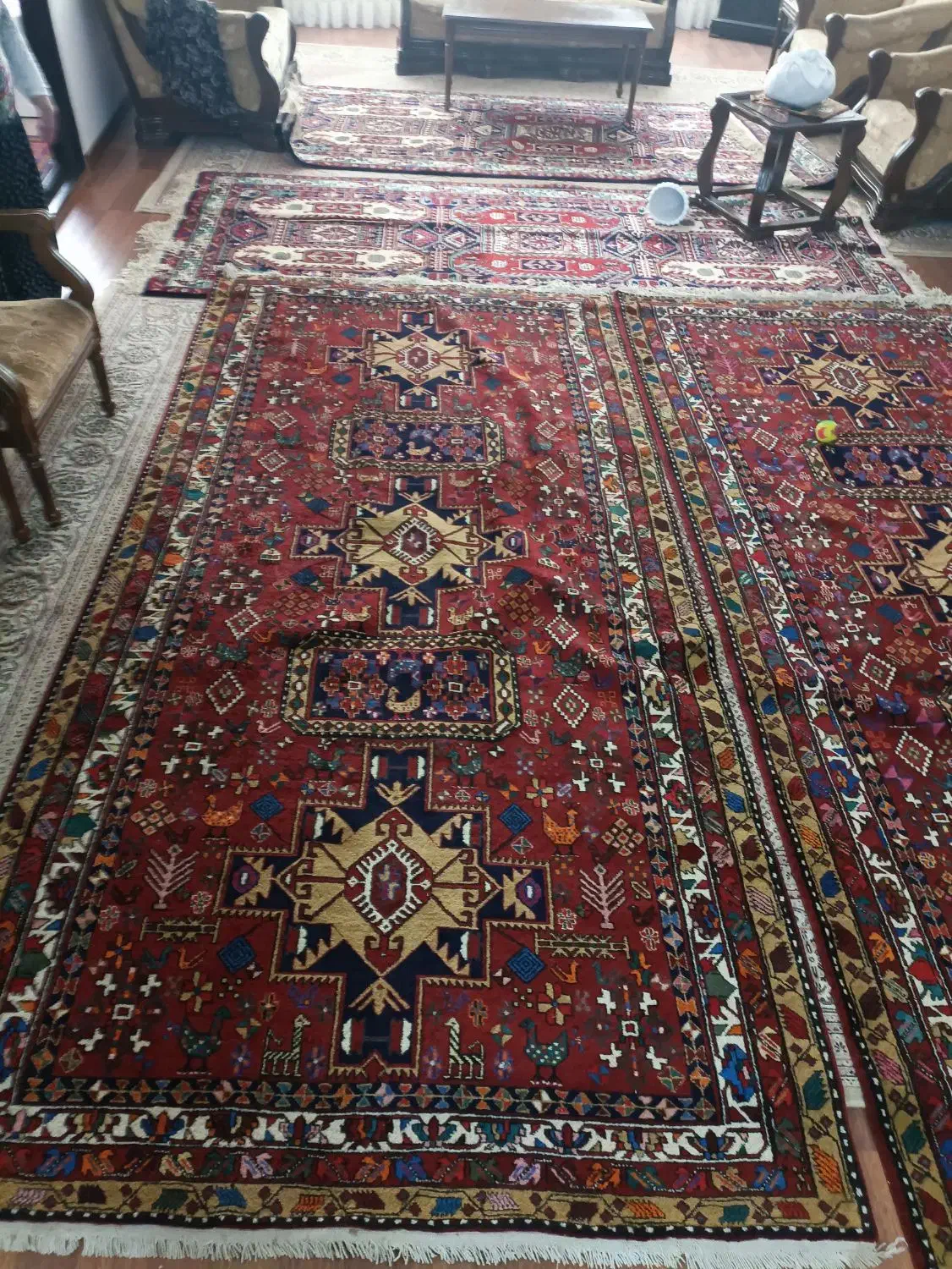 فرش طبیعی نوو|فرش|اردبیل, |دیوار