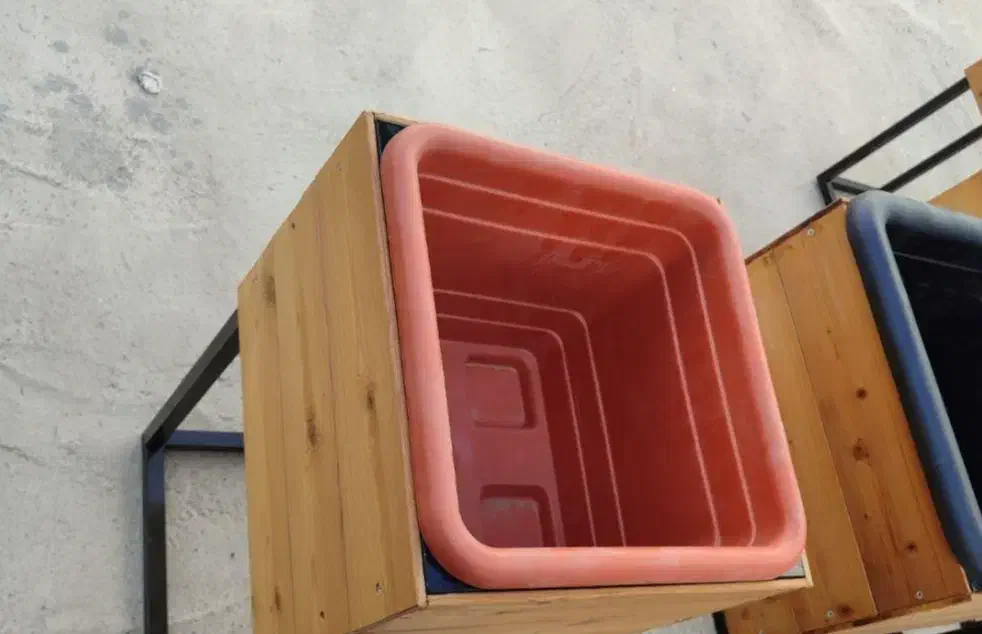 استند گل طبیعی|گل و گیاه طبیعی|اصفهان, قهجاورستان|دیوار