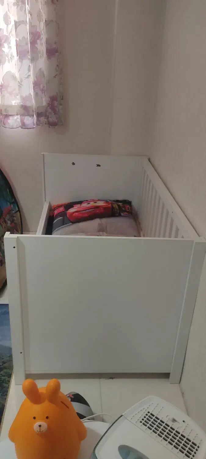 تخت ام دی اف همراه تشک|تخت و صندلی بچه|فردیس, فردیس|دیوار