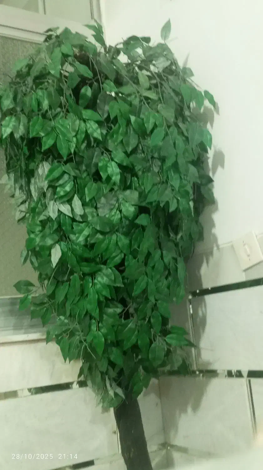 بلسنقدید|گل مصنوعی|شاهرود, |دیوار