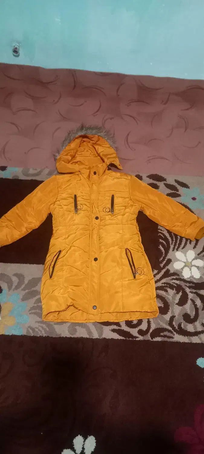 کاپشن|لباس|نهاوند, |دیوار