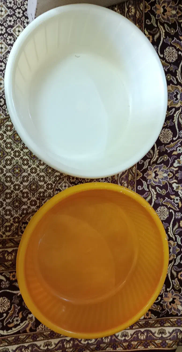 لگن پلاستیکی متوسط|ظروف نگهدارنده، پلاستیکی، یک‌بارمصرف|شیراز, ارم|دیوار