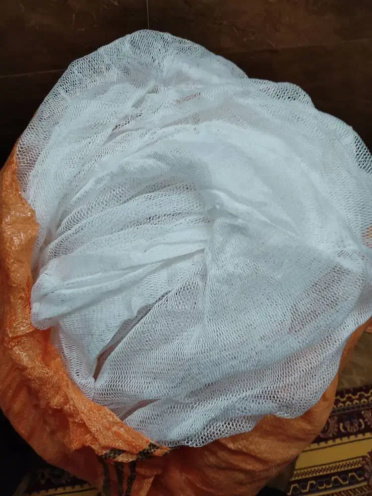 طاقه جل کاشغی|ماهیگیری|قشم, |دیوار