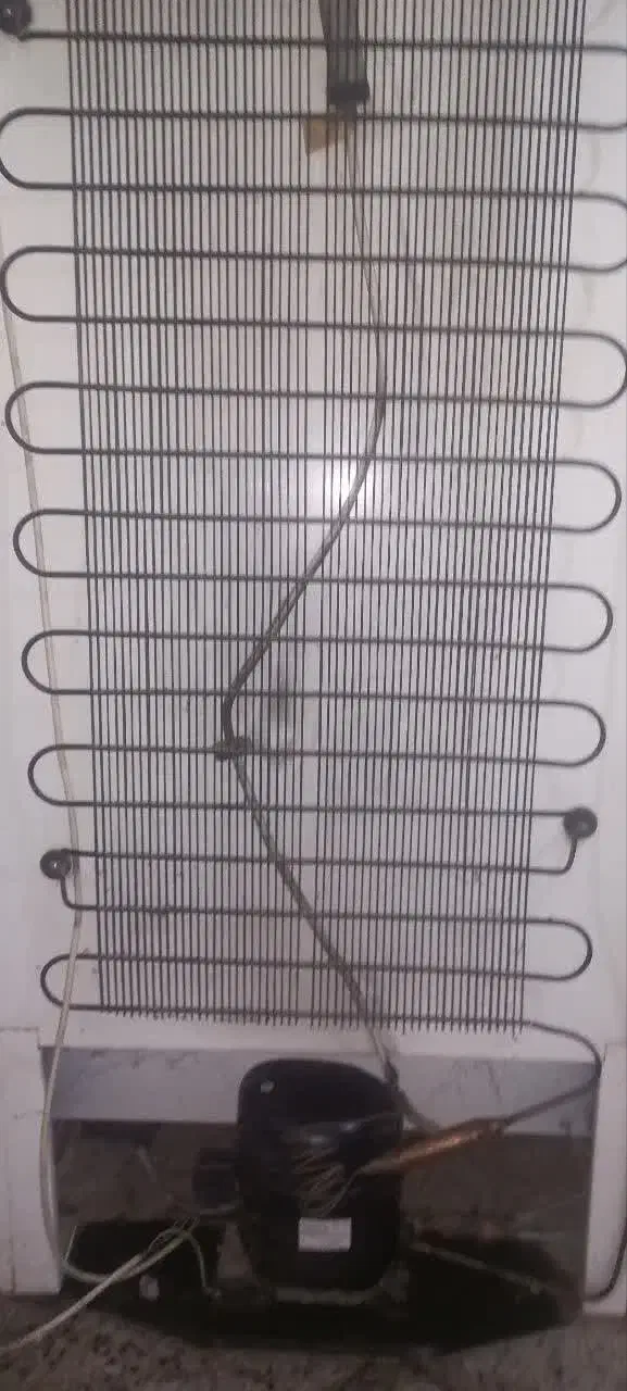 فریزر|یخچال و فریزر|کرج, شاهین‌ویلا|دیوار