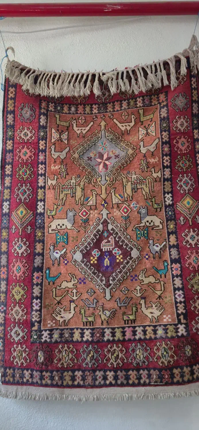 ۶ متری گپه و پشتی و گلیم|گلیم، جاجیم، گبه|تهران, مهرآباد جنوبی|دیوار