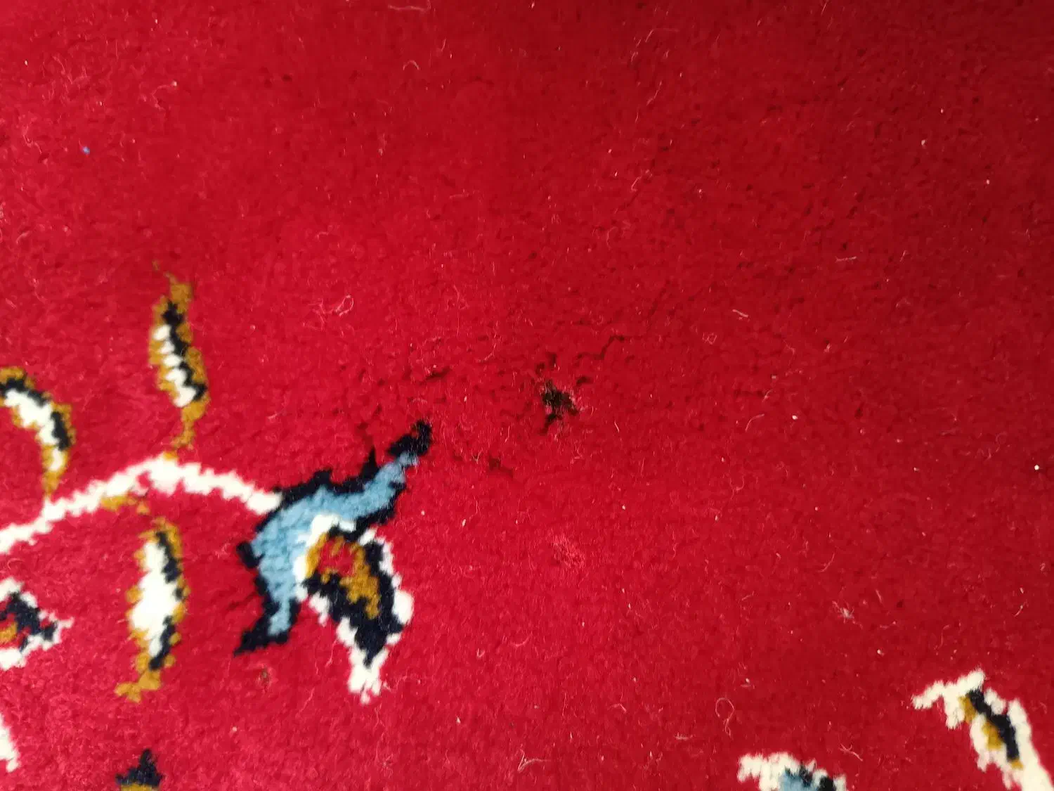 فرش ۹ متری|فرش|قم, شهرک مهدیه|دیوار