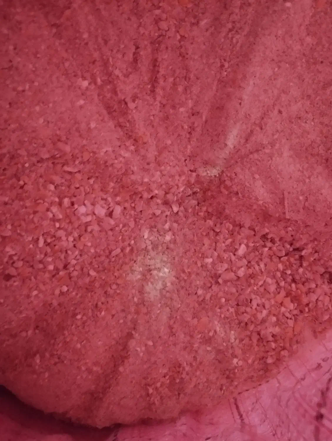 ذرت|لوازم جانبی حیوانات|آباده, |دیوار