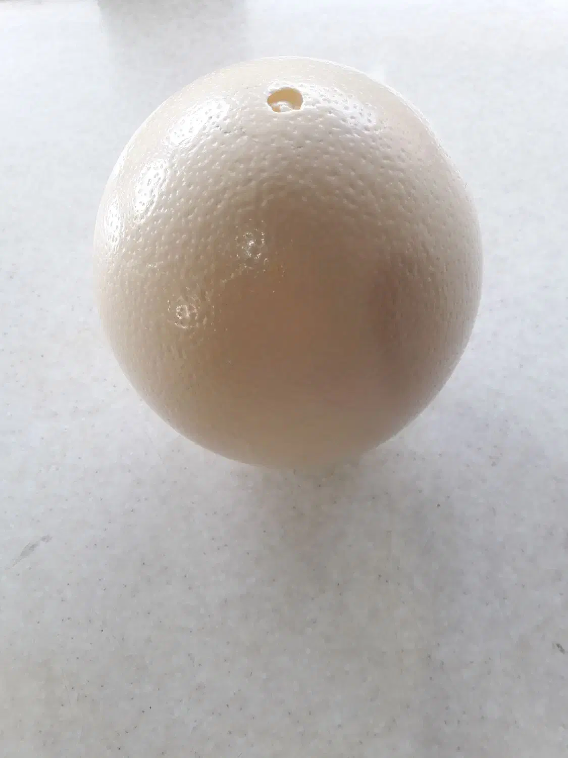 تخم شترمرغ خالی|صنایع دستی و سایر لوازم تزئینی|مشهد, مصلی (کارمندان اول)|دیوار