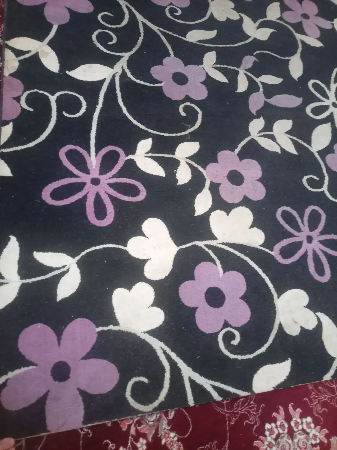 یدونه فرش سالم|فرش|سهند, |دیوار