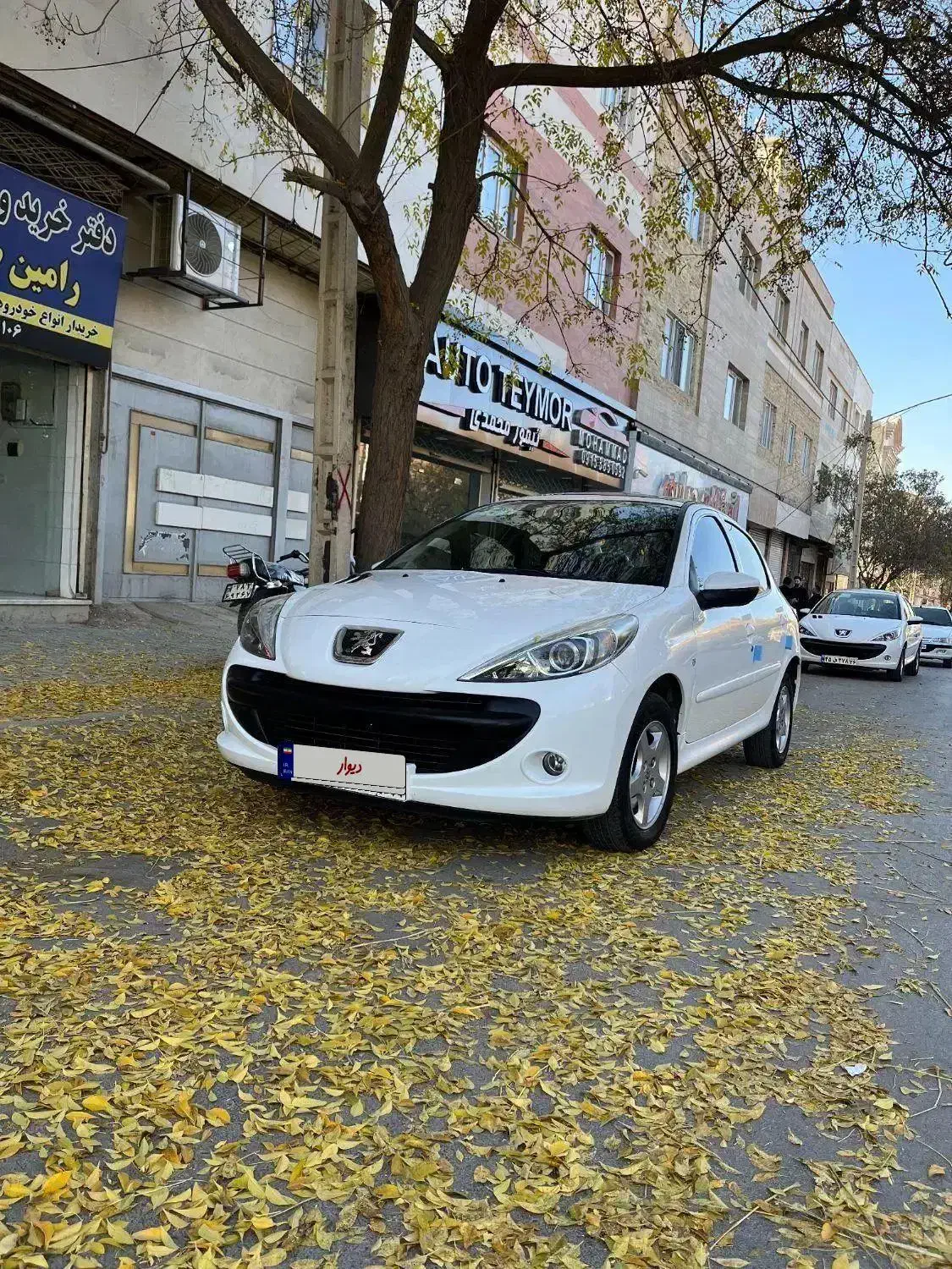 207 پانا 401|خودرو سواری و وانت|بجنورد, |دیوار